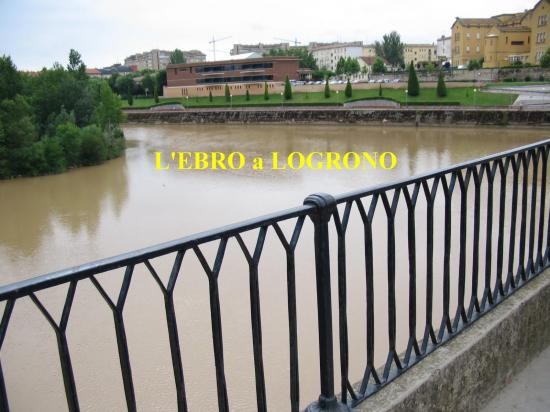 L'Ebro à Logrono